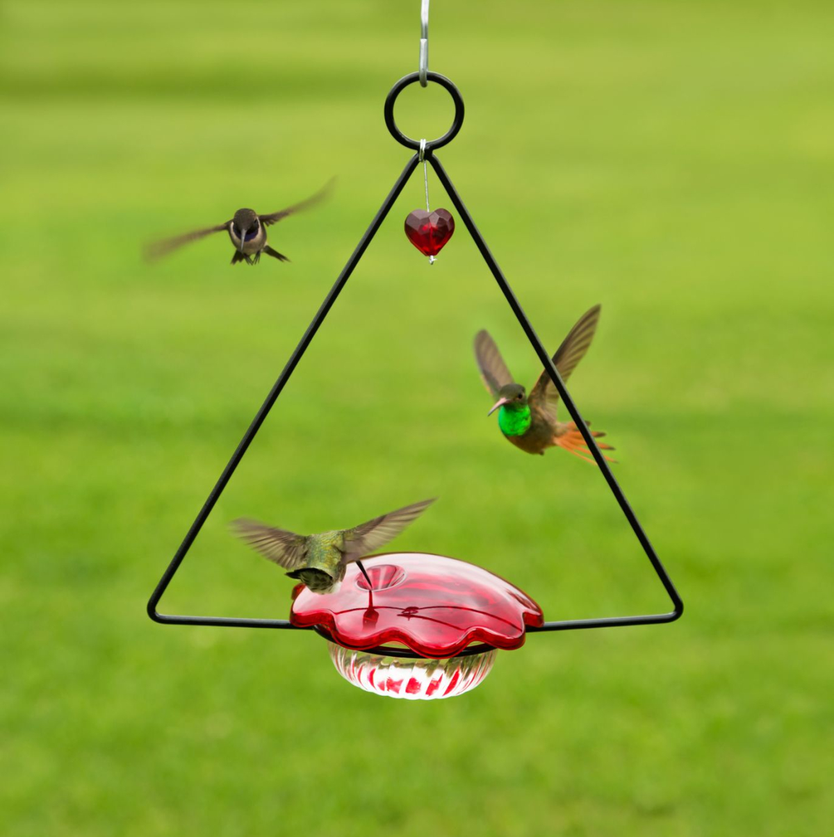 Hummingbird Swing Feeder 2/Pack